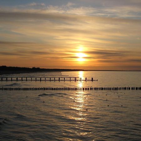 Wohnung 9 Meer-Ruhe Im Haus Stranddistel Komfortable Ferienwohnung Im 1 Og Fuer 4 Personen In Zingst Exterior foto